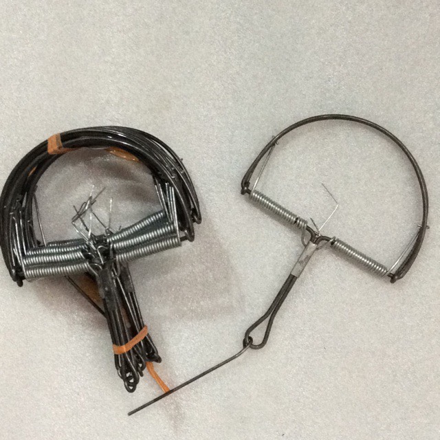 Vận chuyển đường biển hàng Bẫy chuột đi Băng Cốc Thái Lan