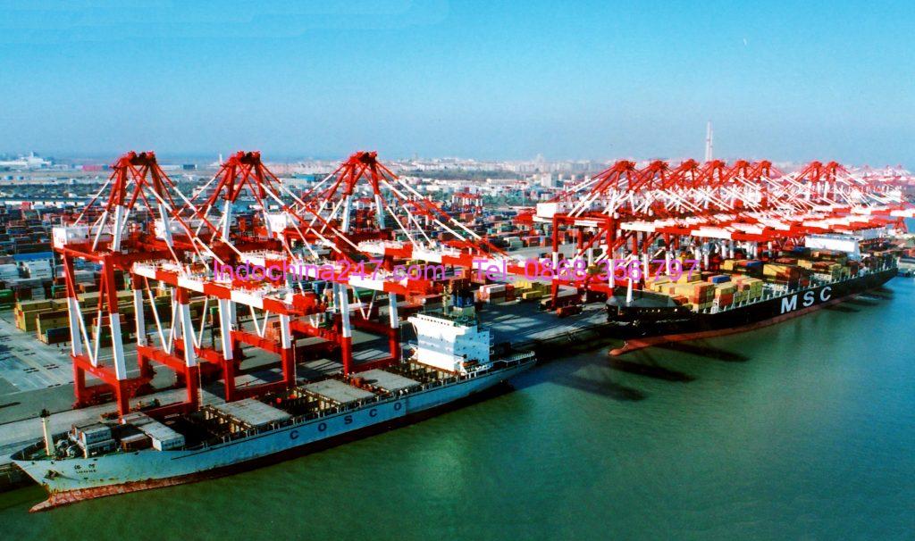 Dịch vụ vận chuyển hàng hóa đường biển từ Việt Nam đi Osaka