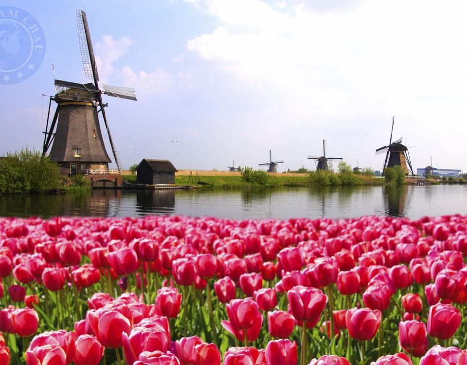 Dich vu van chuyen hang khong gia re, uy tin tu Ha Noi den Ha Lan