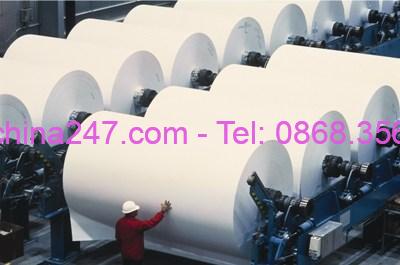 Hướng dẫn nhập khẩu bột giấy Acacia từ Trung Quốc về Việt Nam