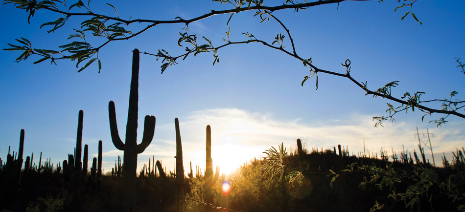 Dich-vu-chuyen-phat-nhanh-tu-Ha-Noi-di-Mexico-cua-Indochina247