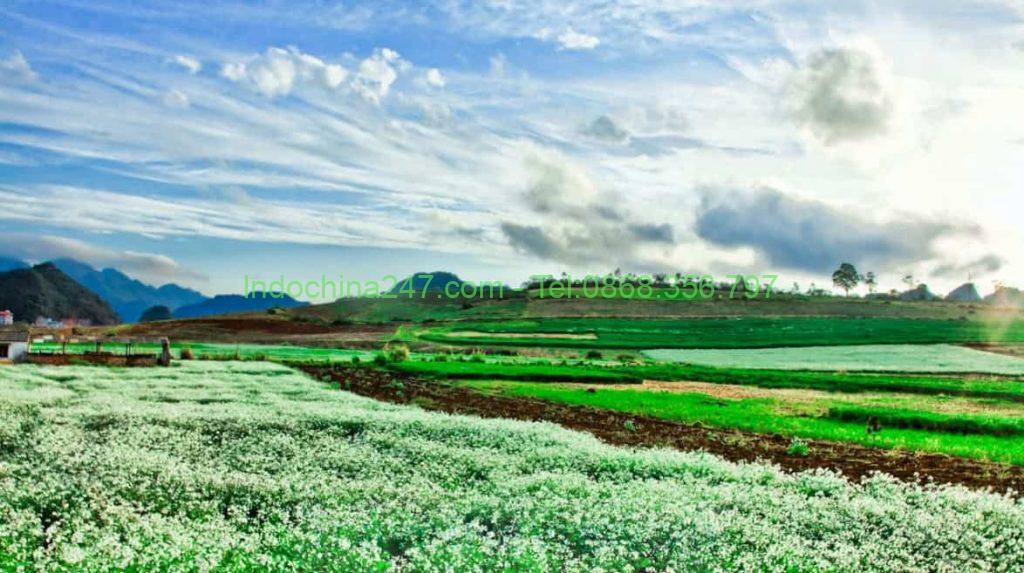 Chuyển phát nhanh từ Sài Gòn - TPHCM đến Sơn La giá rẻ chất lượng uy tín