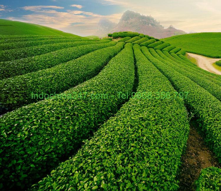 Dịch vụ chuyển phát nhanh hàng hóa đi Thái Nguyên nhanh chóng giá rẻ