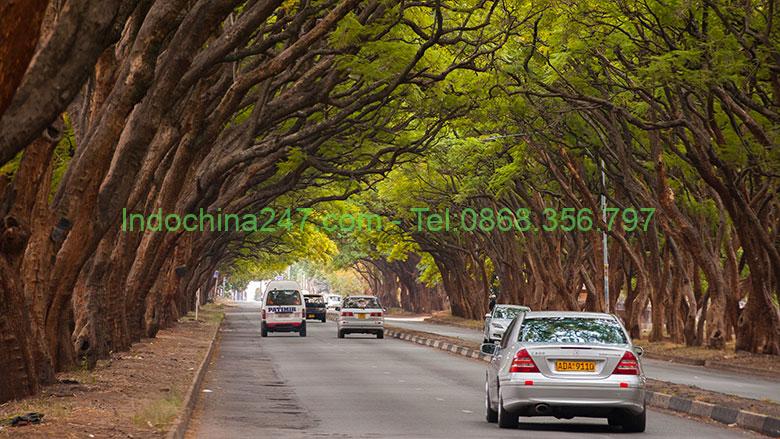 Dịch vụ chuyển phát nhanh hàng hóa từ Hà Nội đi Zimbabwe uy tín giá rẻ