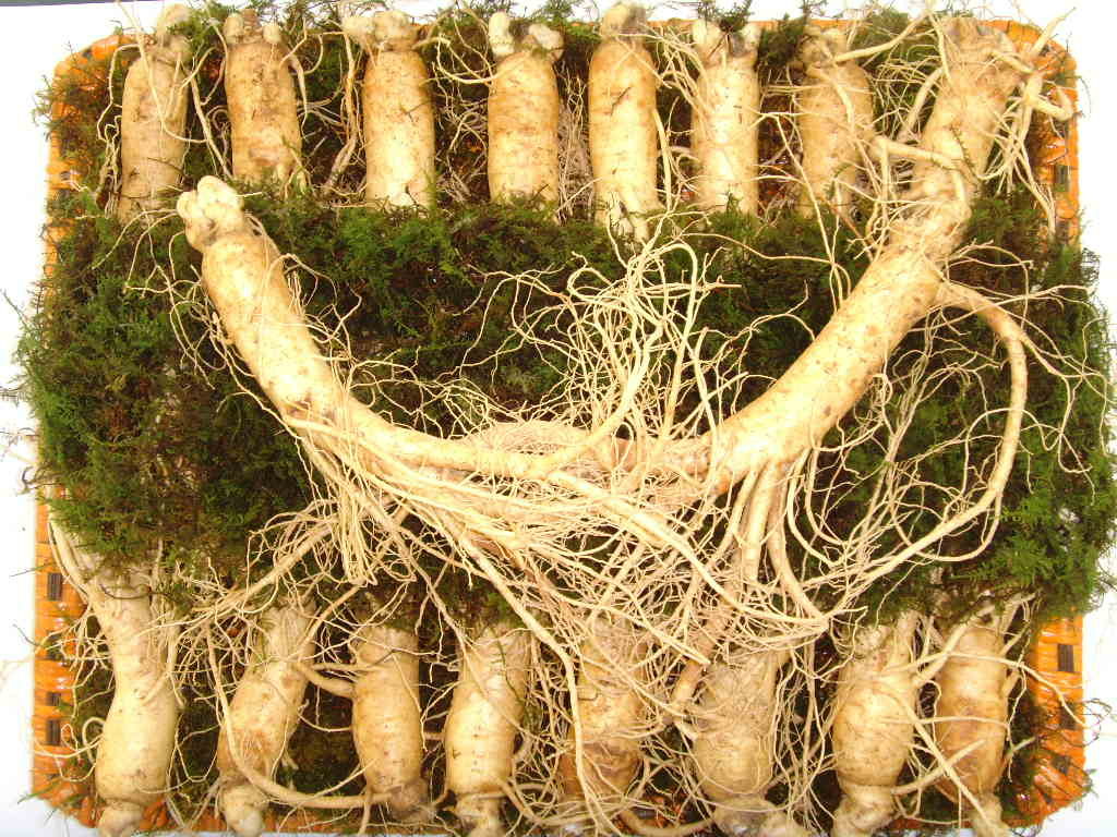 Dịch vụ vận chuyển, ship nhân sâm Hàn Quốc xách tay nhanh-gọn-rẻ