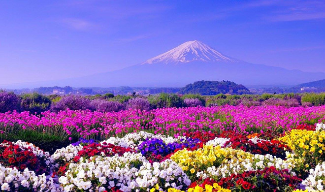 Vận chuyển hàng hóa từ Nhật Bản về Bắc Giang giá rẻ cực sốc