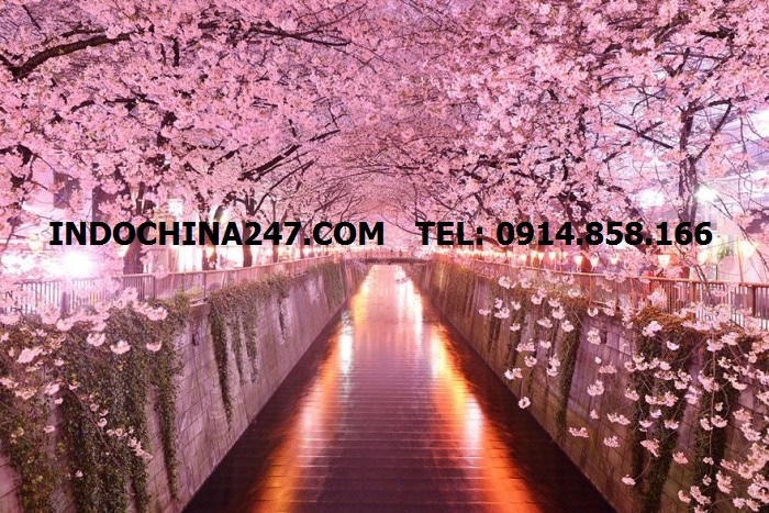 van-chuyen-ship-gui-hang-tu-hai-phong-di-tokyo