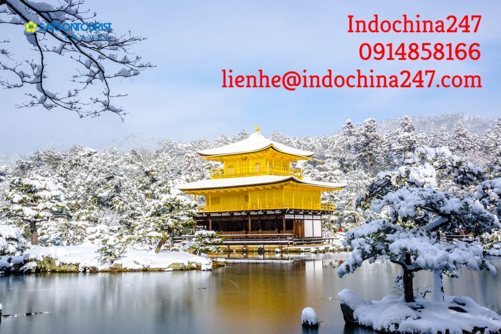 Order hàng Nhật, mua hộ hàng Nhật và vận chuyển về Ninh Thuận giá rẻ