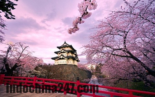 Báo giá chuyển hàng xách tay từ Nhật Bản về Thanh Hóa