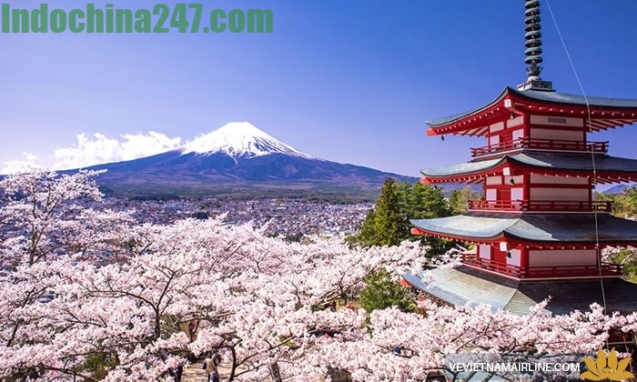 Báo giá dịch vụ chuyển hàng xách tay từ Nhật Bản về Tây Ninh