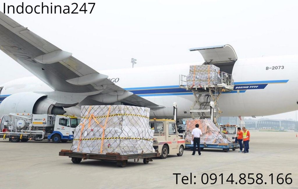 Dịch vụ chuyển phát nhanh chuyên nghiệp