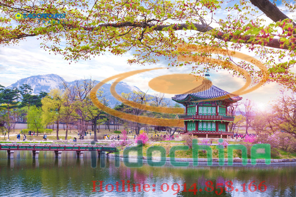 Dịch vụ giao nhận hàng ghép giá rẻ từ Việt Nam đi Hàn Quốc