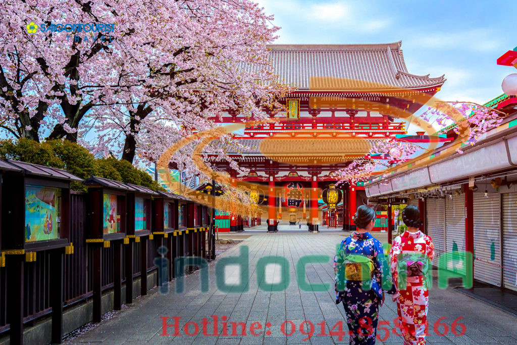 Dịch vụ vận chuyển đường biển hàng lẻ đi Nhật Bản