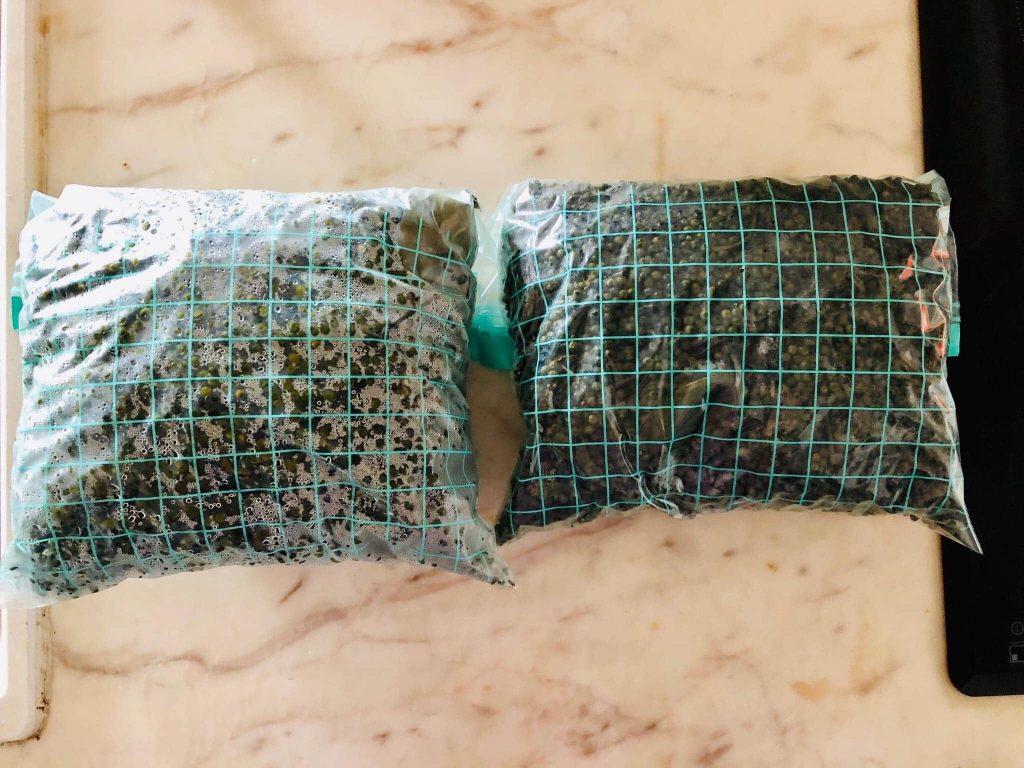 Quy trình vận chuyển hàng lẻ LCL hạt tiêu bằng đường biển đi Nhật Bản