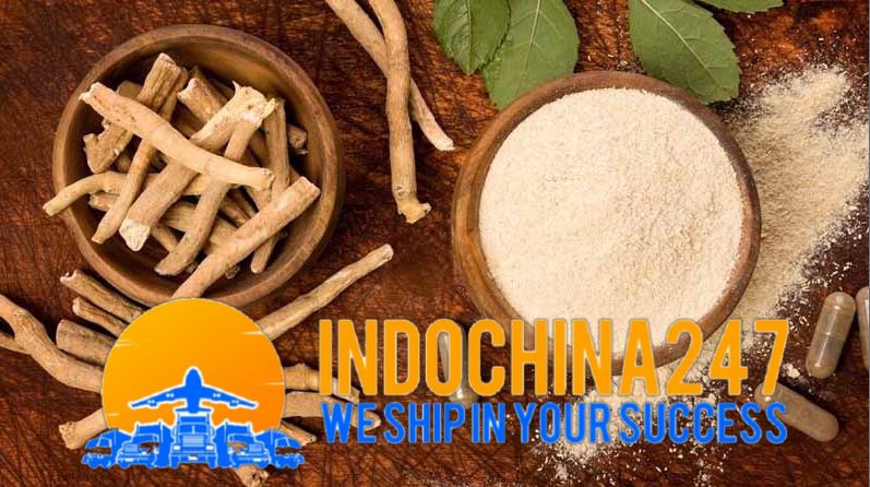 Chuyển phát nhanh hàng xách tay đồ y tế từ Ấn