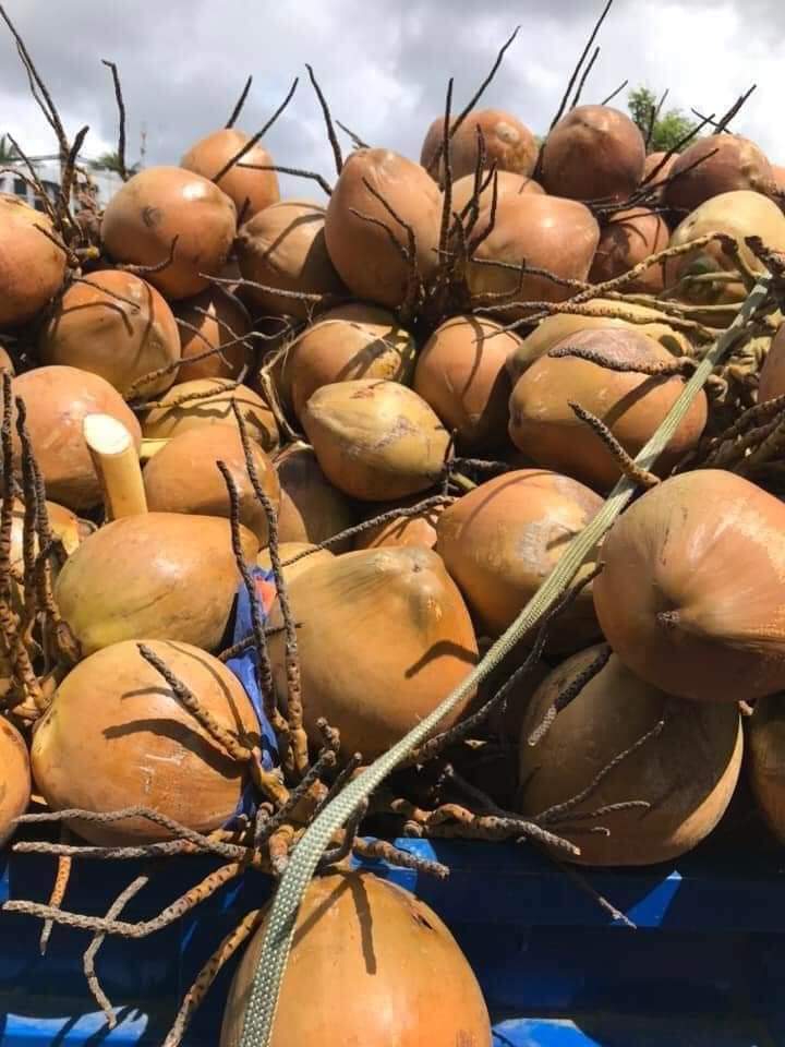 Vận chuyển đường biển nông sản khô đi Hàn Quốc giá rẻ