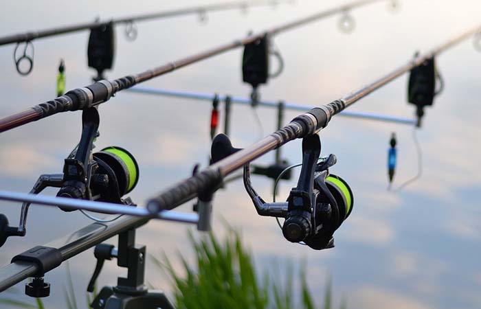 Dịch vụ vận chuyển chuyển phát nhanh đồ câu cá chuyên dụng từ Mỹ về Việt Nam