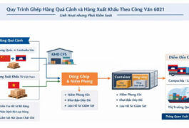 Công văn 6021/CHQ-GSQL (23/01/2026)