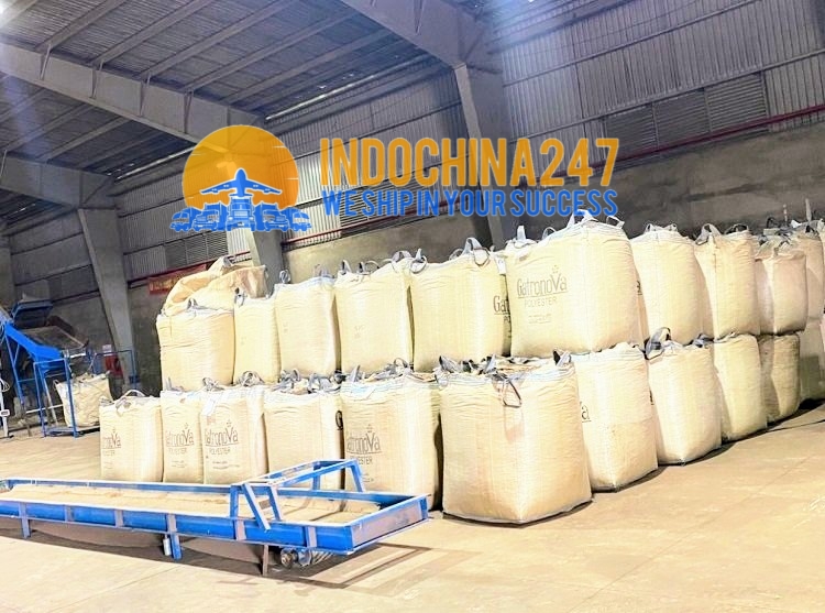 Indochina nhận vận chuyển vận tải đường biển đi Thượng Hải (Shanghai) Trung Quốc