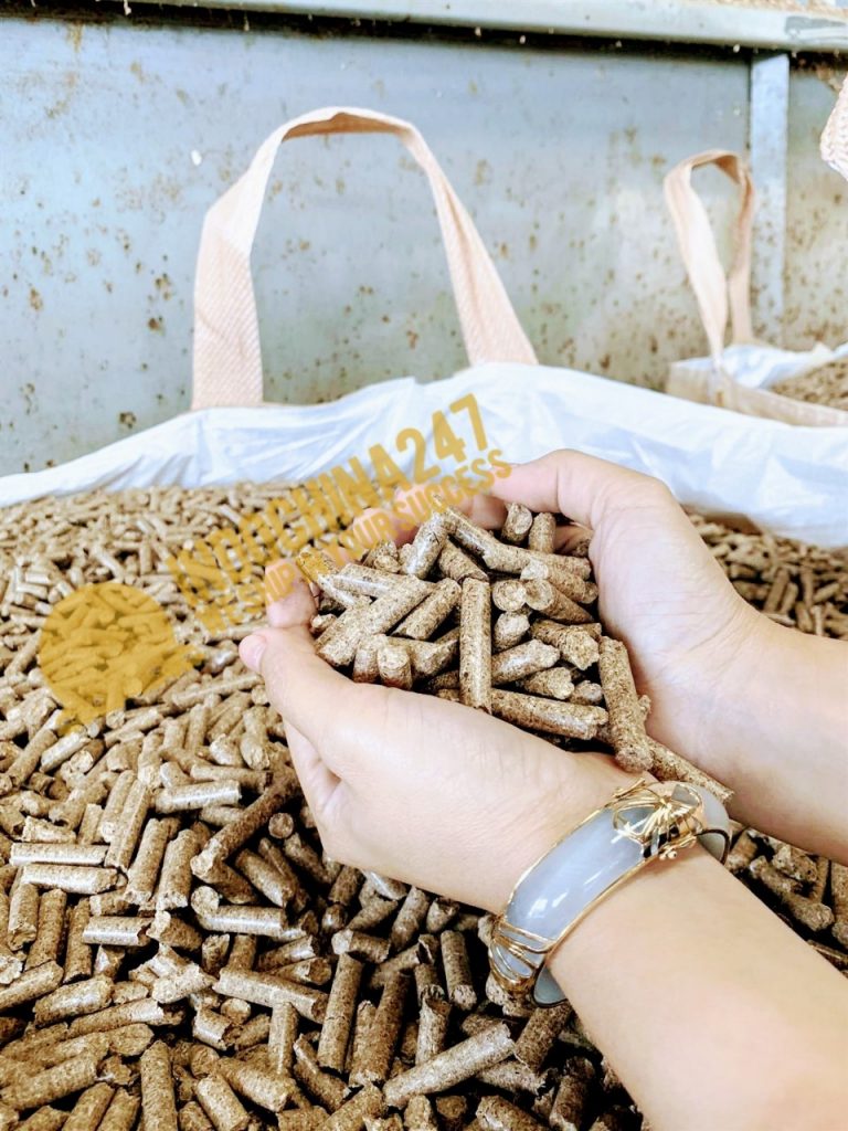 Vận tải đường biển FCL Viên nén mùn cưa đi Bulgari