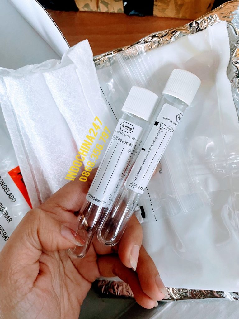 Dịch vụ vận chuyển đường biển giá rẻ đi Fukuoka Nhật Bản