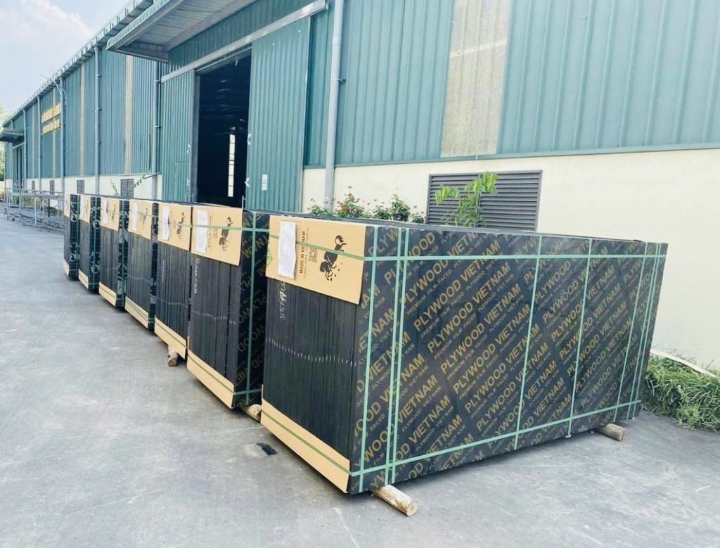 Vận chuyển đường biển gỗ Plywood đi Ấn Độ