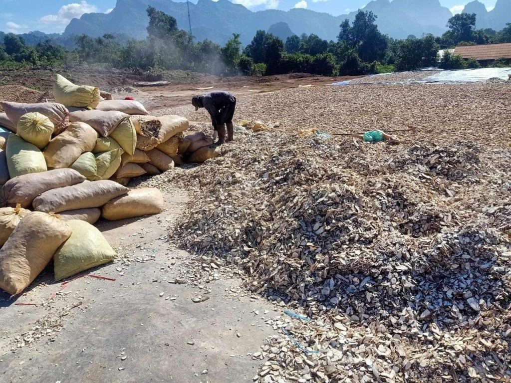 Vận chuyển đường bộ và biển sắn lát từ Lào về Việt Nam