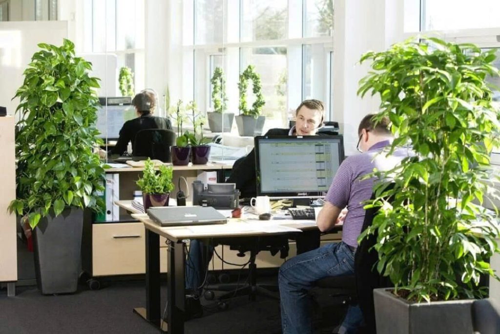 Dịch vụ chuyển phát nhanh hàng hóa Việt Nam đến Châu Phi