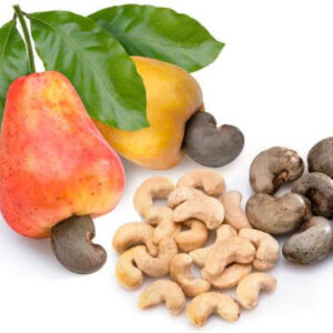 HẠT ĐIỀU XUẤT KHẨU